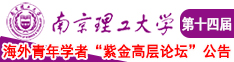 骚逼求操逼南京理工大学第十四届海外青年学者紫金论坛诚邀海内外英才！